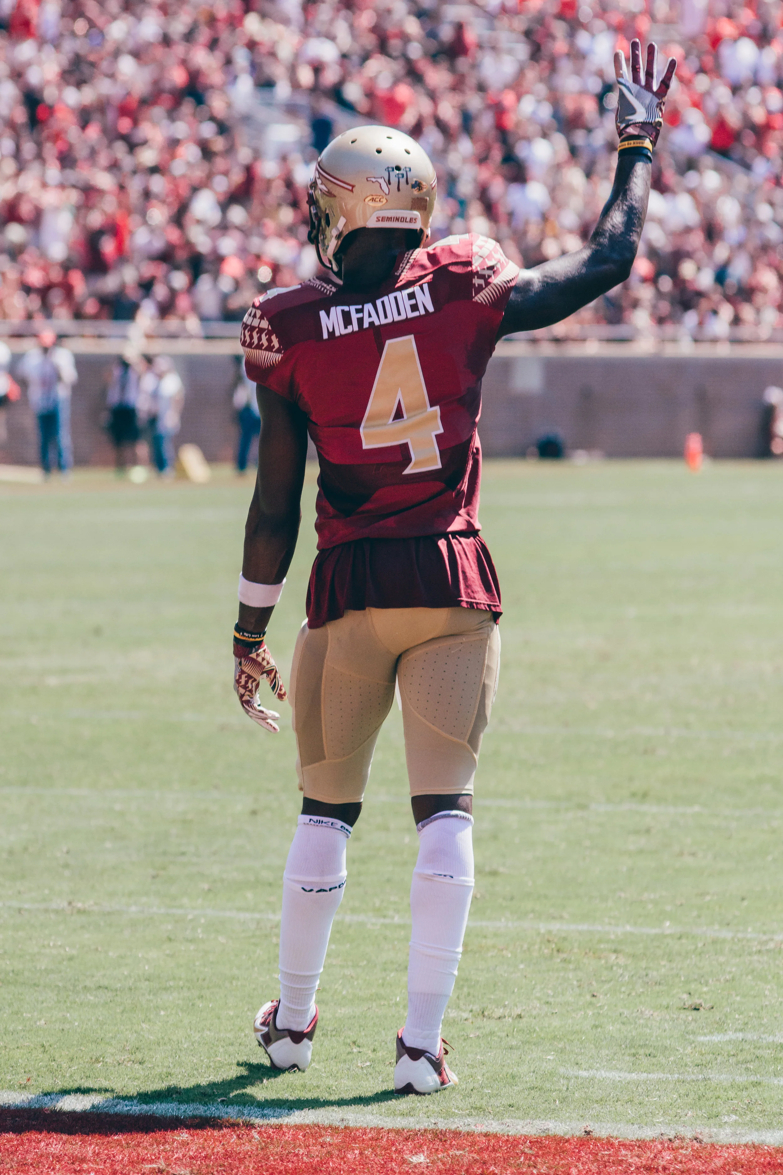 Sports.Football Photos.Tolchin Photo_053.jpg