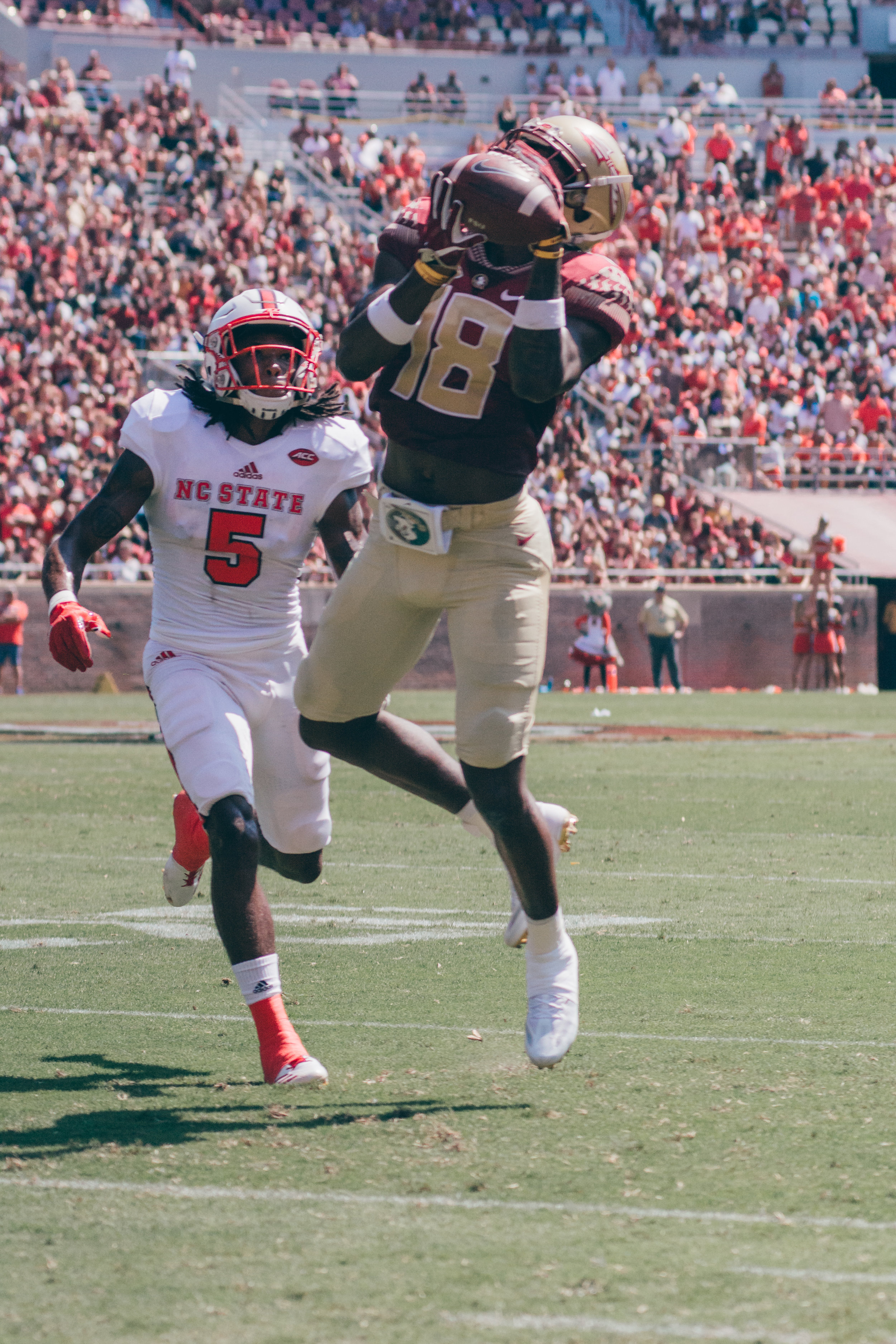 Sports.Football Photos.Tolchin Photo_054.jpg