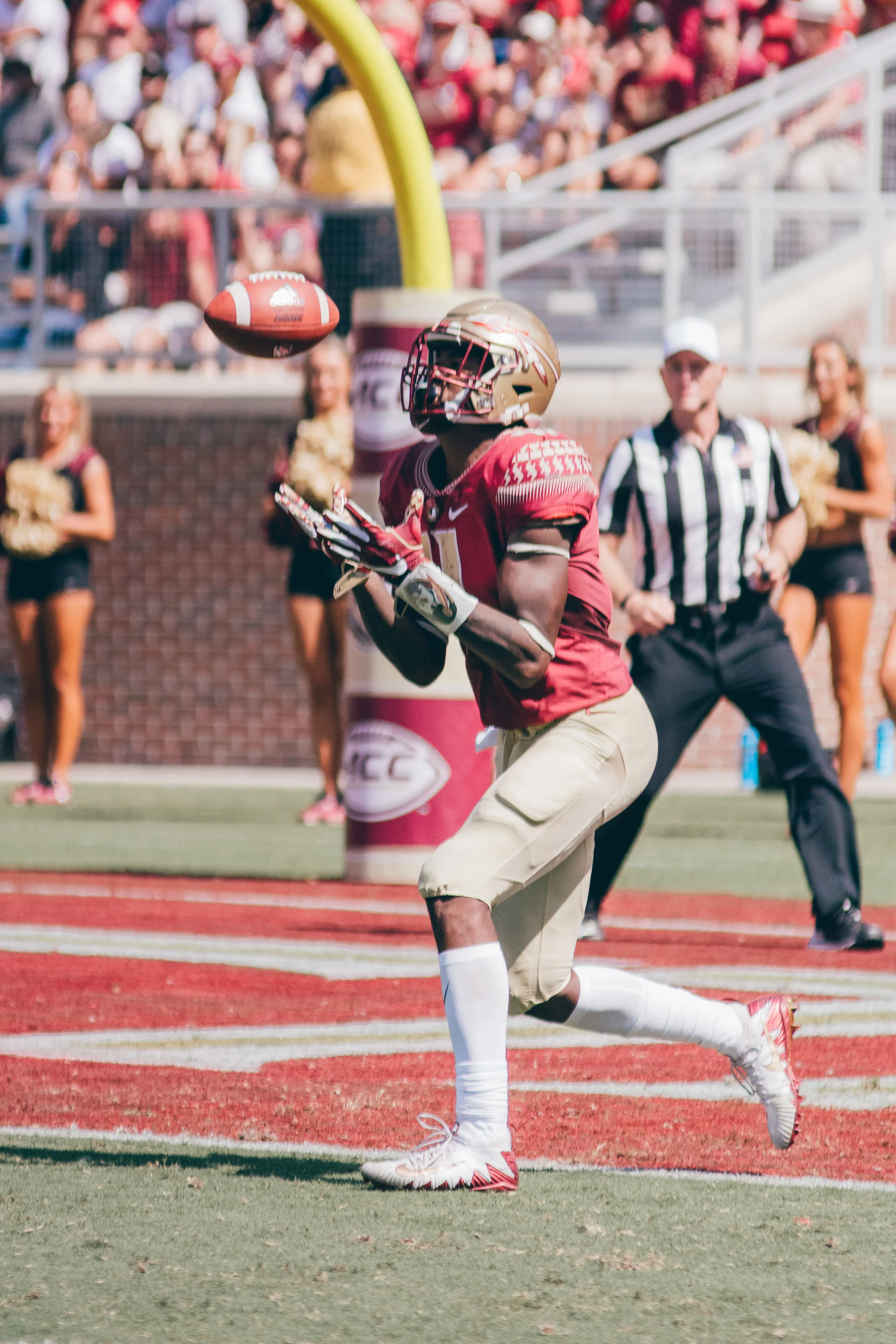 Sports.Football Photos.Tolchin Photo_059.jpg