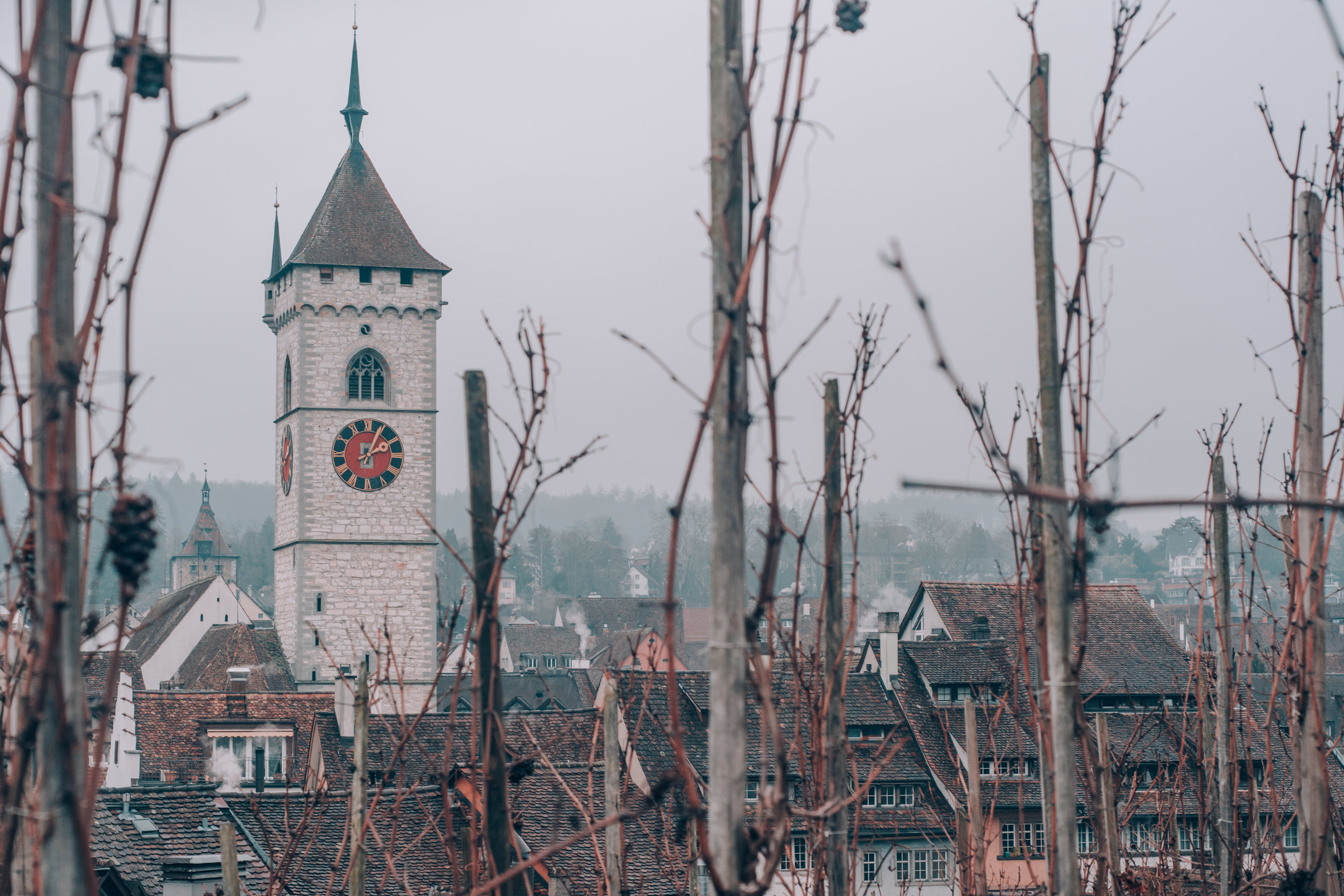 Switzerland.Tolchin Photo_013.jpg