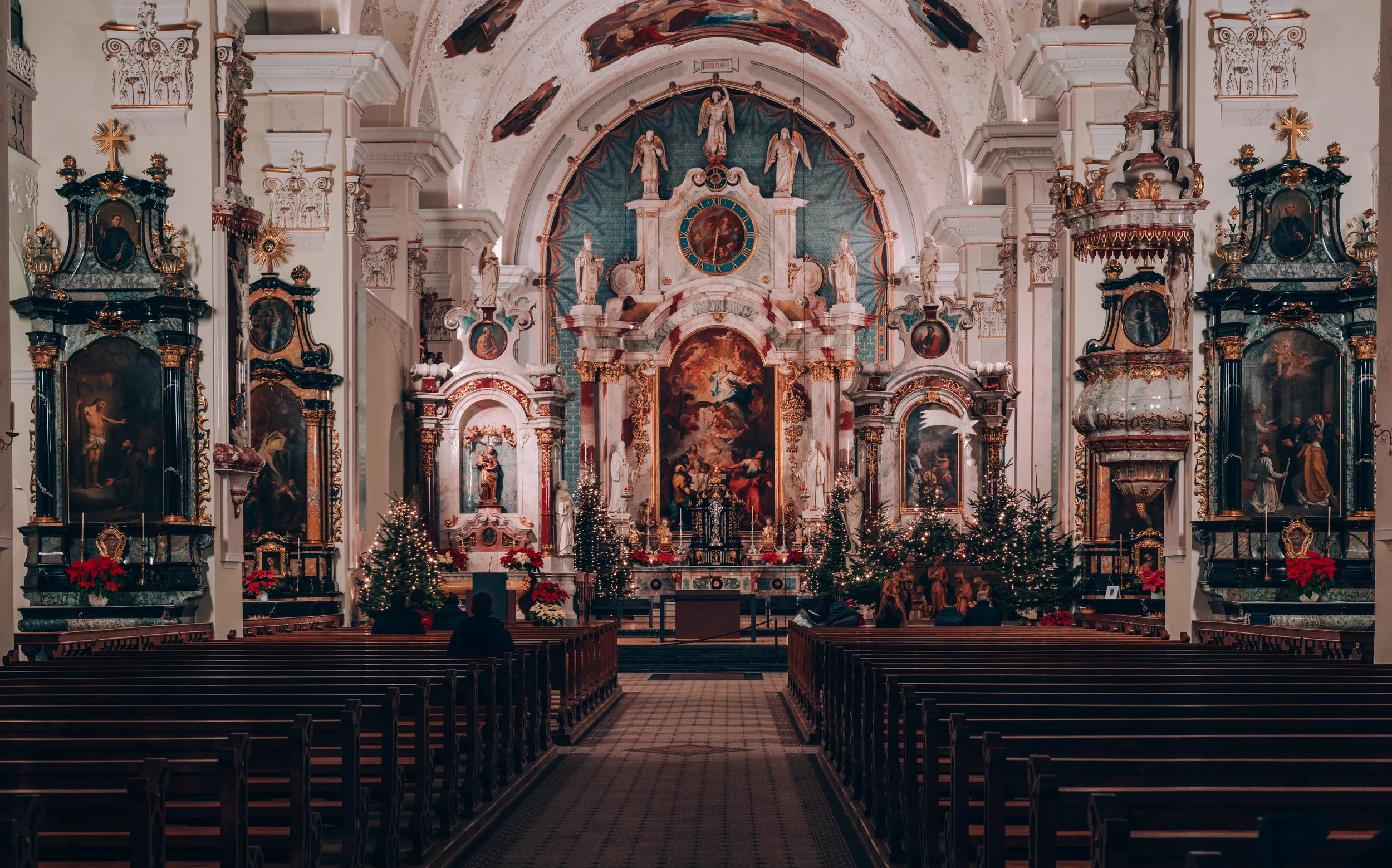 Switzerland.Tolchin Photo_017.jpg