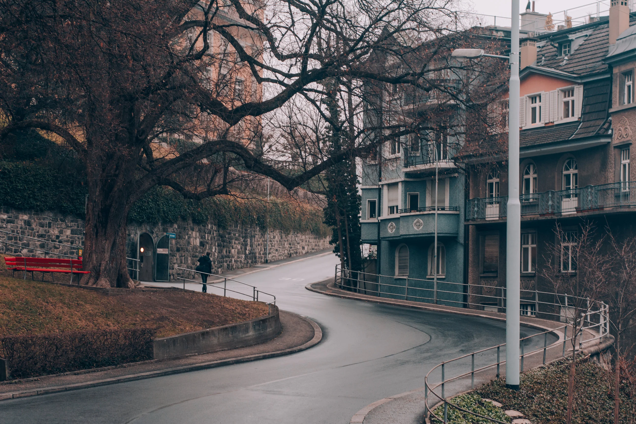 Switzerland.Tolchin Photo_018.jpg