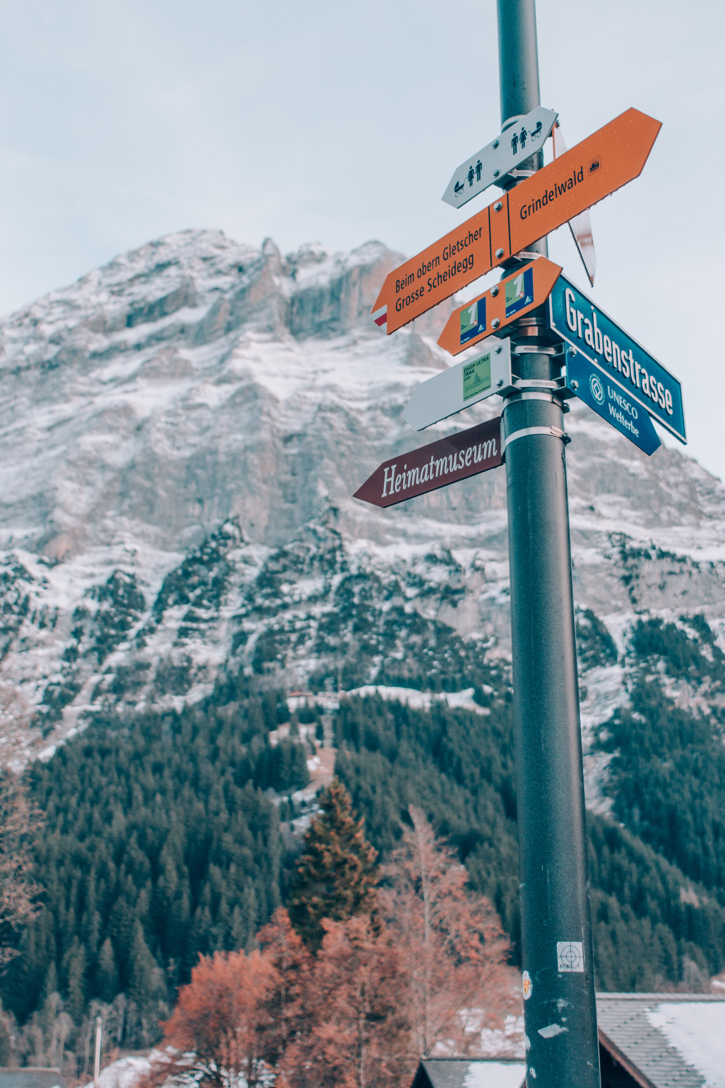 Switzerland.Tolchin Photo_011.jpg