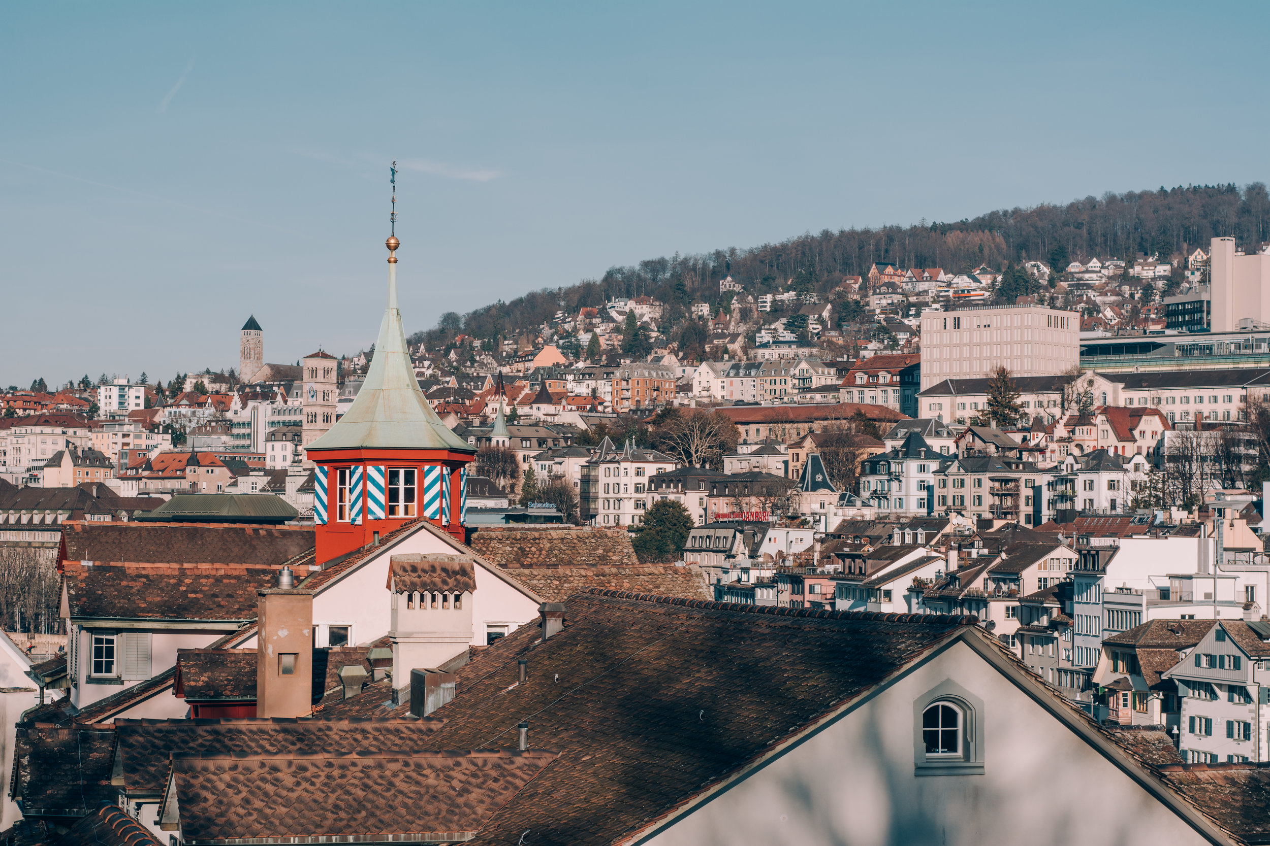 Switzerland.Tolchin Photo_001.jpg