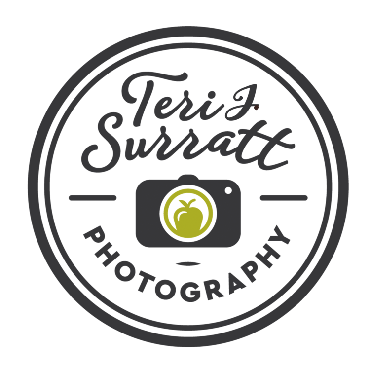 Teri J Surratt Photography