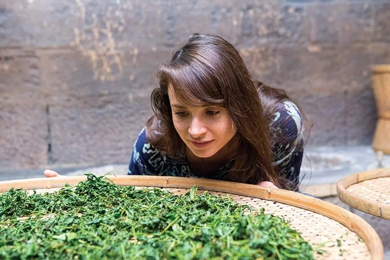 Global Tea Hut: Tea Wayfarer