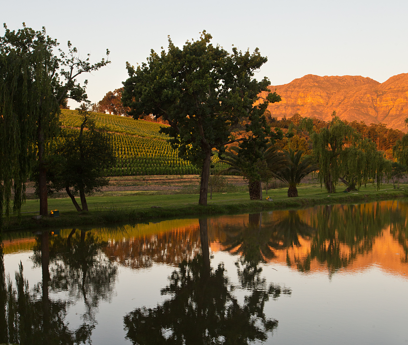 lake and vineyard.jpg