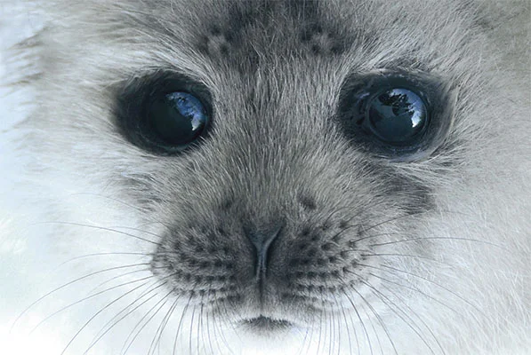 Tale of a Lake: Great reviews and opening weekend