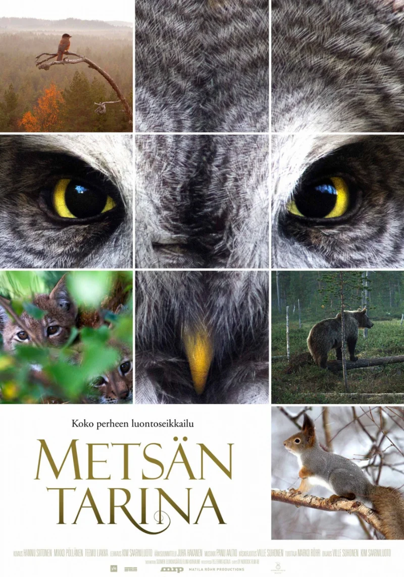 #edit_metsan_tarina.jpg