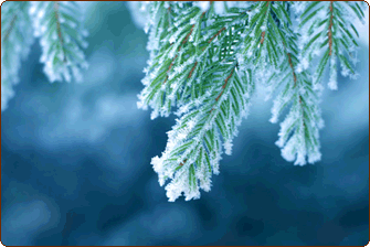winter-wonderland-main.gif