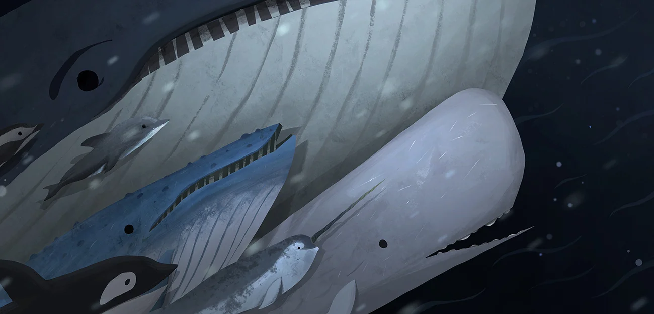 Whale Family_v03.jpg