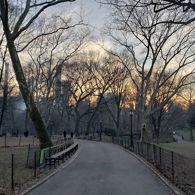 Hoy la caminata estuvo linda.
🍂#CentralPark