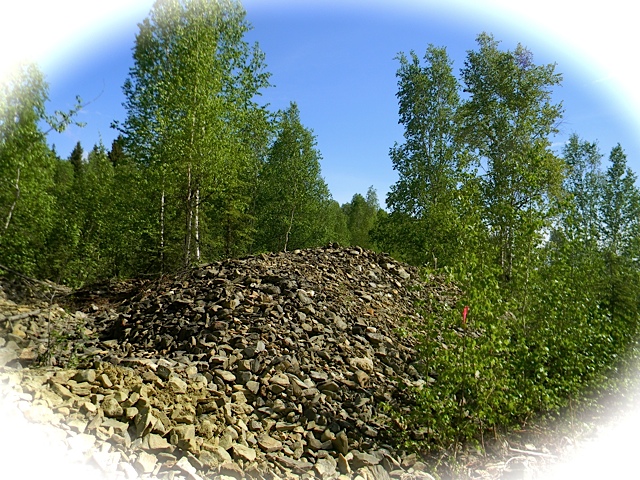IMG_0147.JPG
