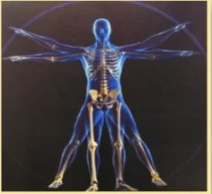 The Creative Source for Postural Fitness