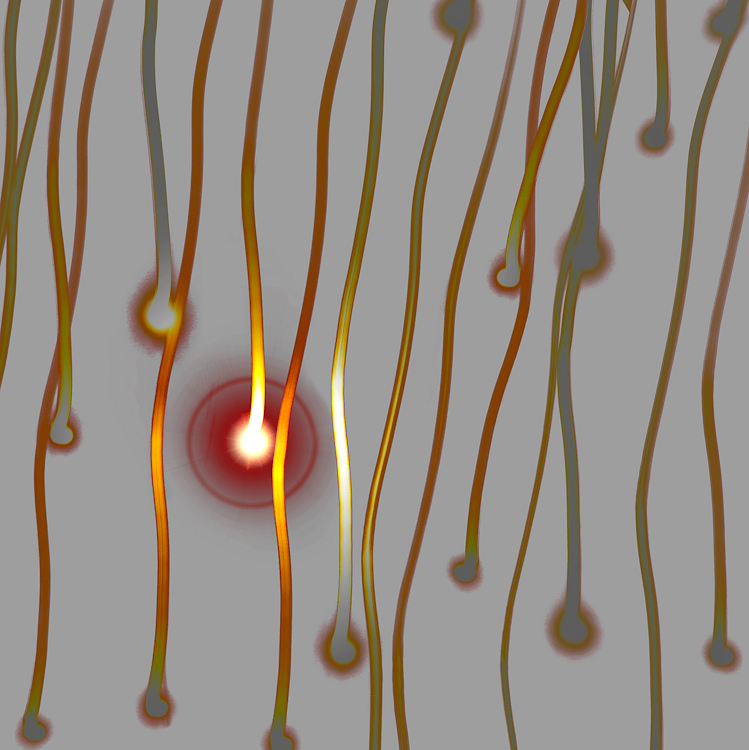 Synapse