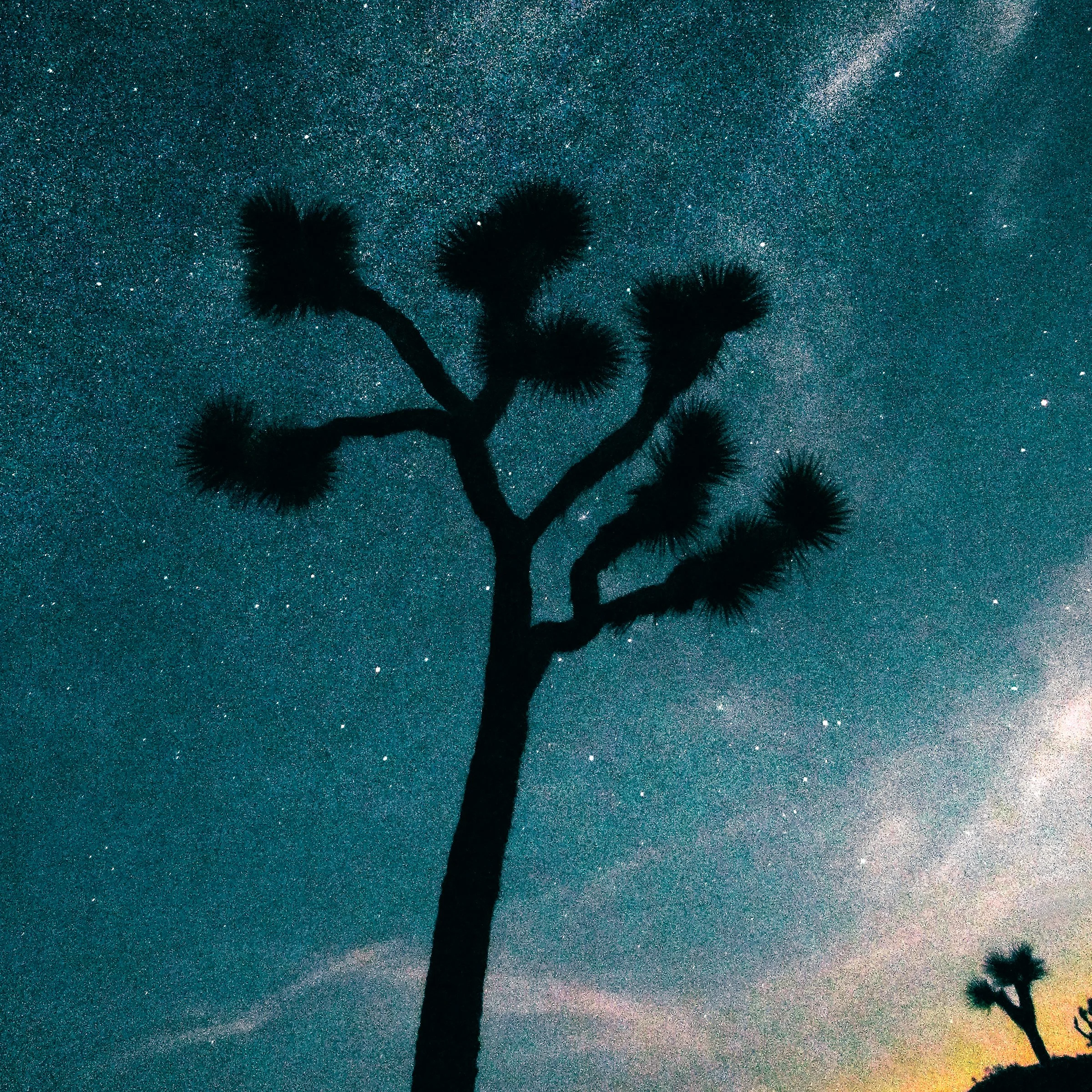 Twilight