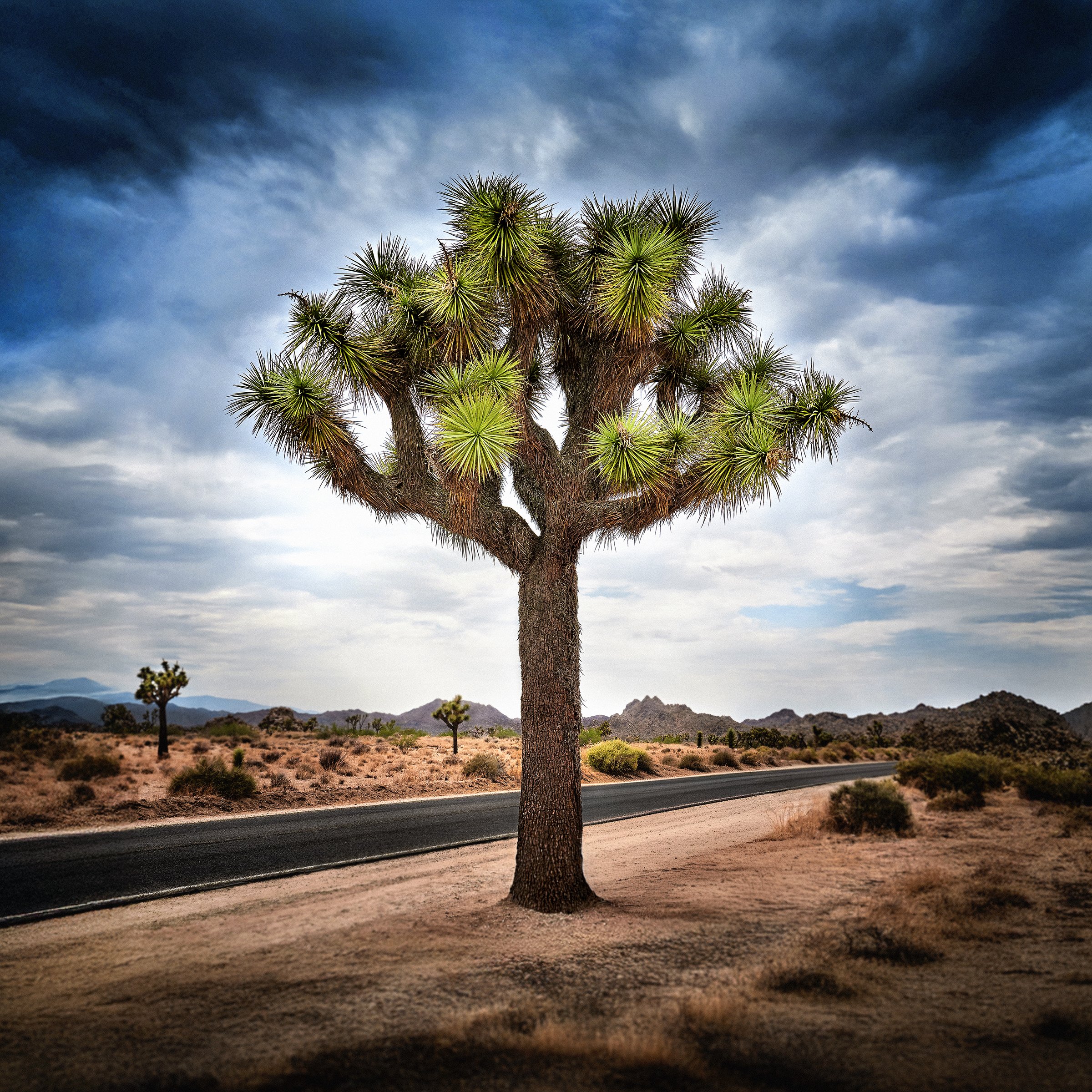 Lost Horse Valley