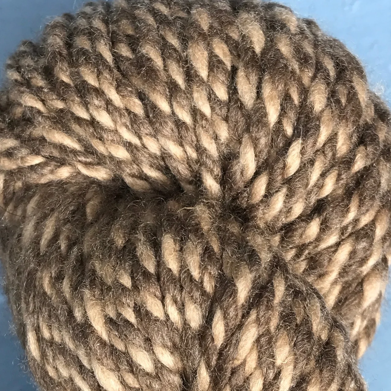 light brown dark brown.JPG