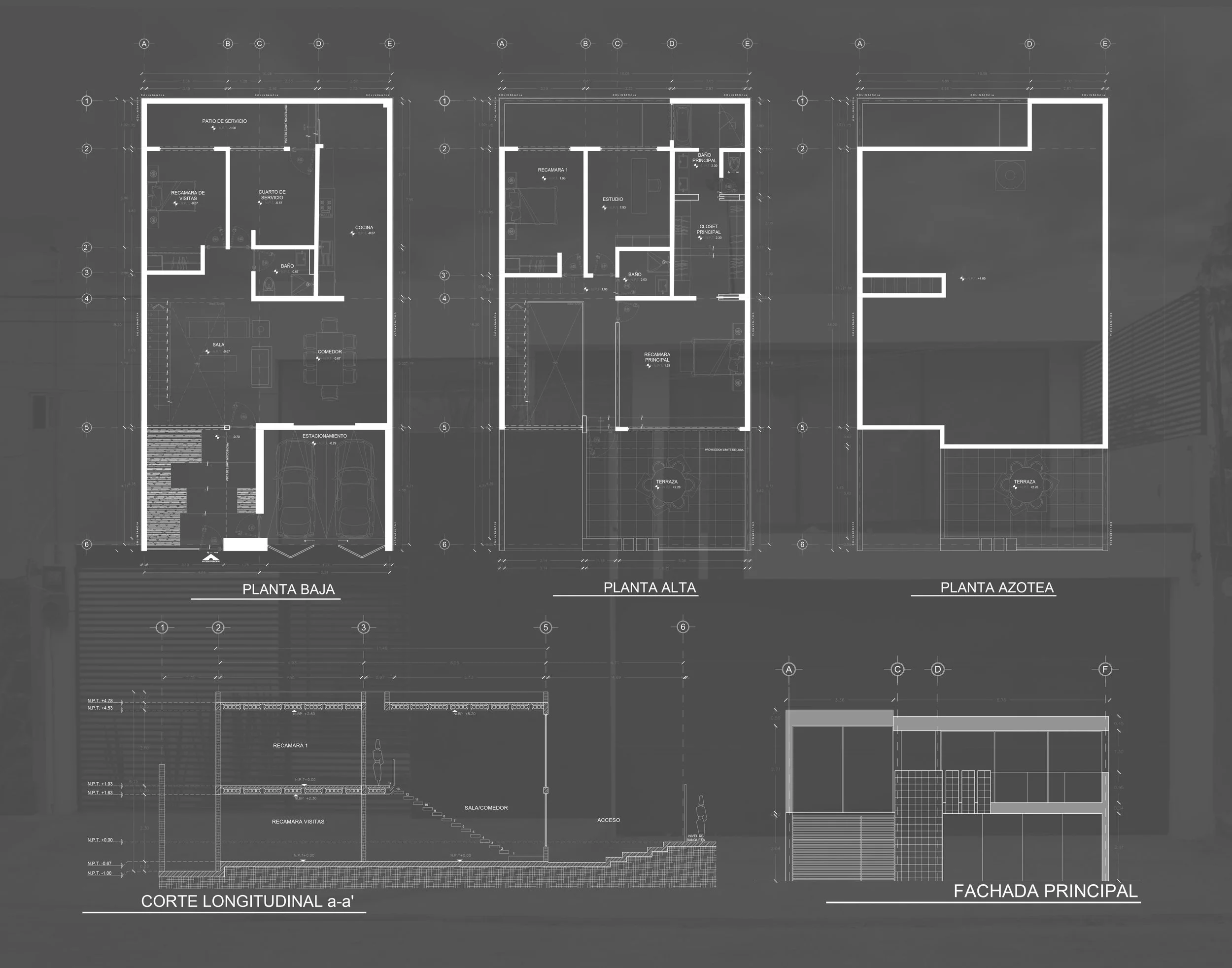 LAMINA 2 .- HUIZACHAL.jpg