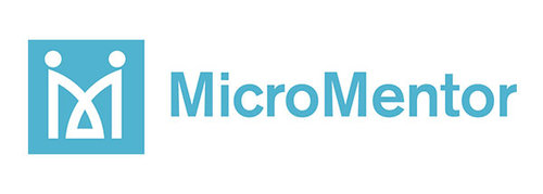 T&amp;R Solutions Portfolio Project: MicroMentor Non-Profit Group