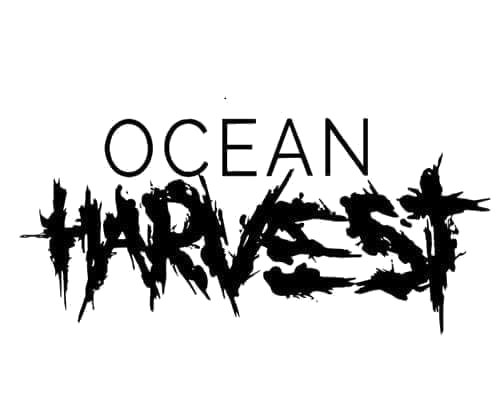 T&amp;R Recordings Past Artist: Ocean Harvest