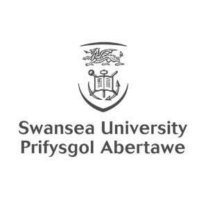 swansea-university.jpg
