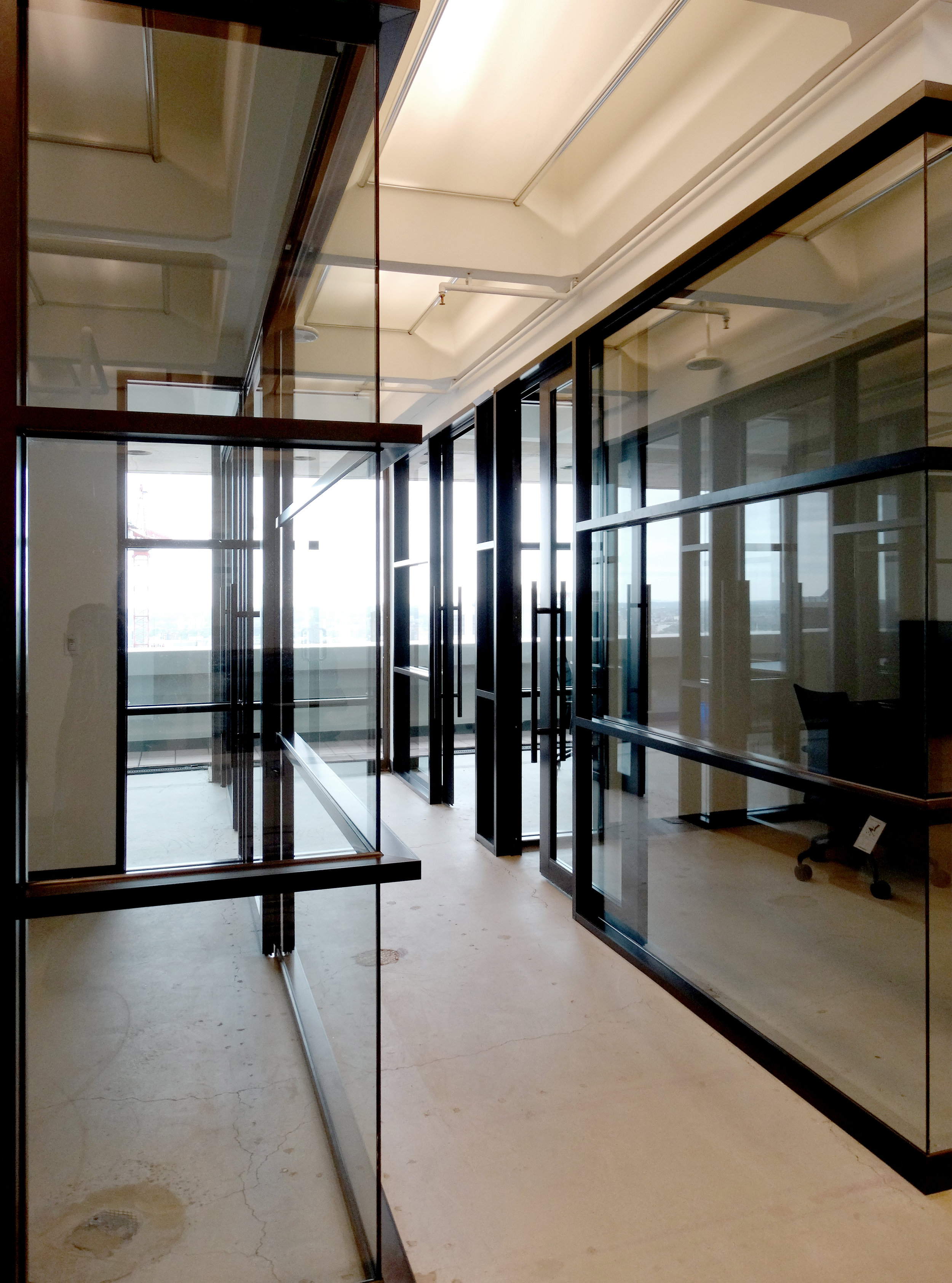 Encase Black Aluminum Horizontal Mullion Glass Wall - Spaceworks AI.JPG