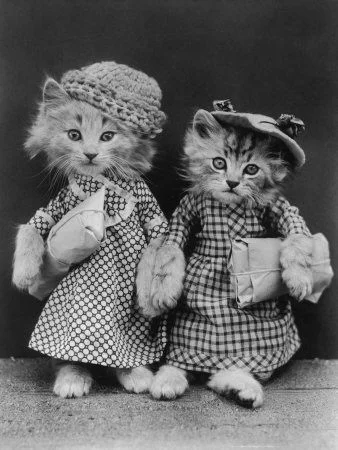 Live Painting at Renaissance & Papyrus Like these little kittens, my bags are packed and I’m ready for a trip to my favorite store for a live painting demo. I will be working on a new illustration from 10am-3pm at Renaissance & Papyrus in downtown South Haven. If you’re near by, stop in and say hello, catch a glimpse of my working process, and be the first to see my new un-shared illustration! It’s a lovely store, full of lovely things, all around loveliness, and lovely ladies.Hope to see you there!