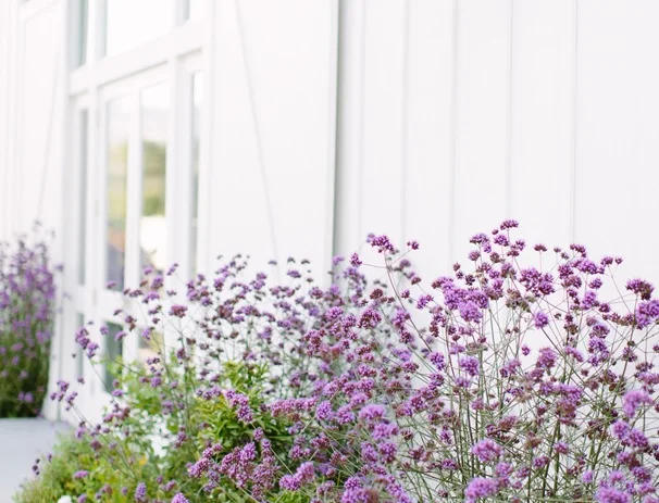 Megan Clouse Photography | The Barn at Tyge William Cellars