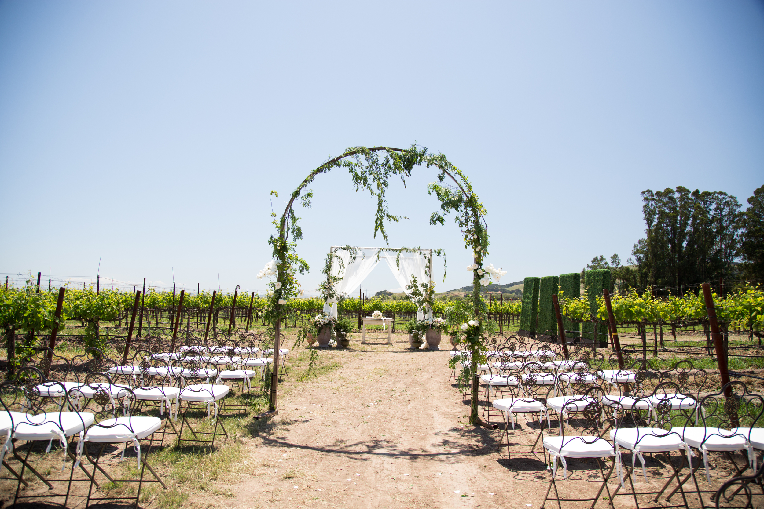 Rachael Hairston Photography | The Barn at Tyge William Cellars