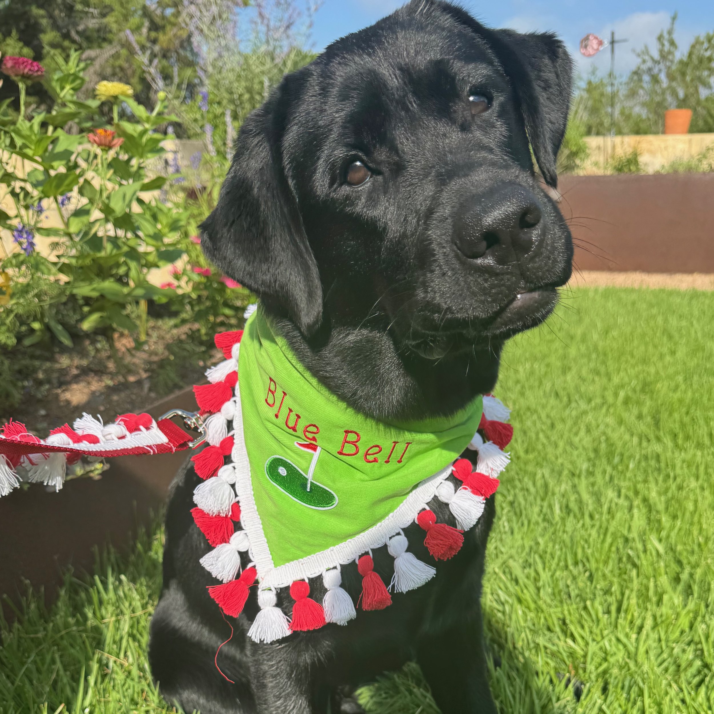 Hole in One Dog Bandana