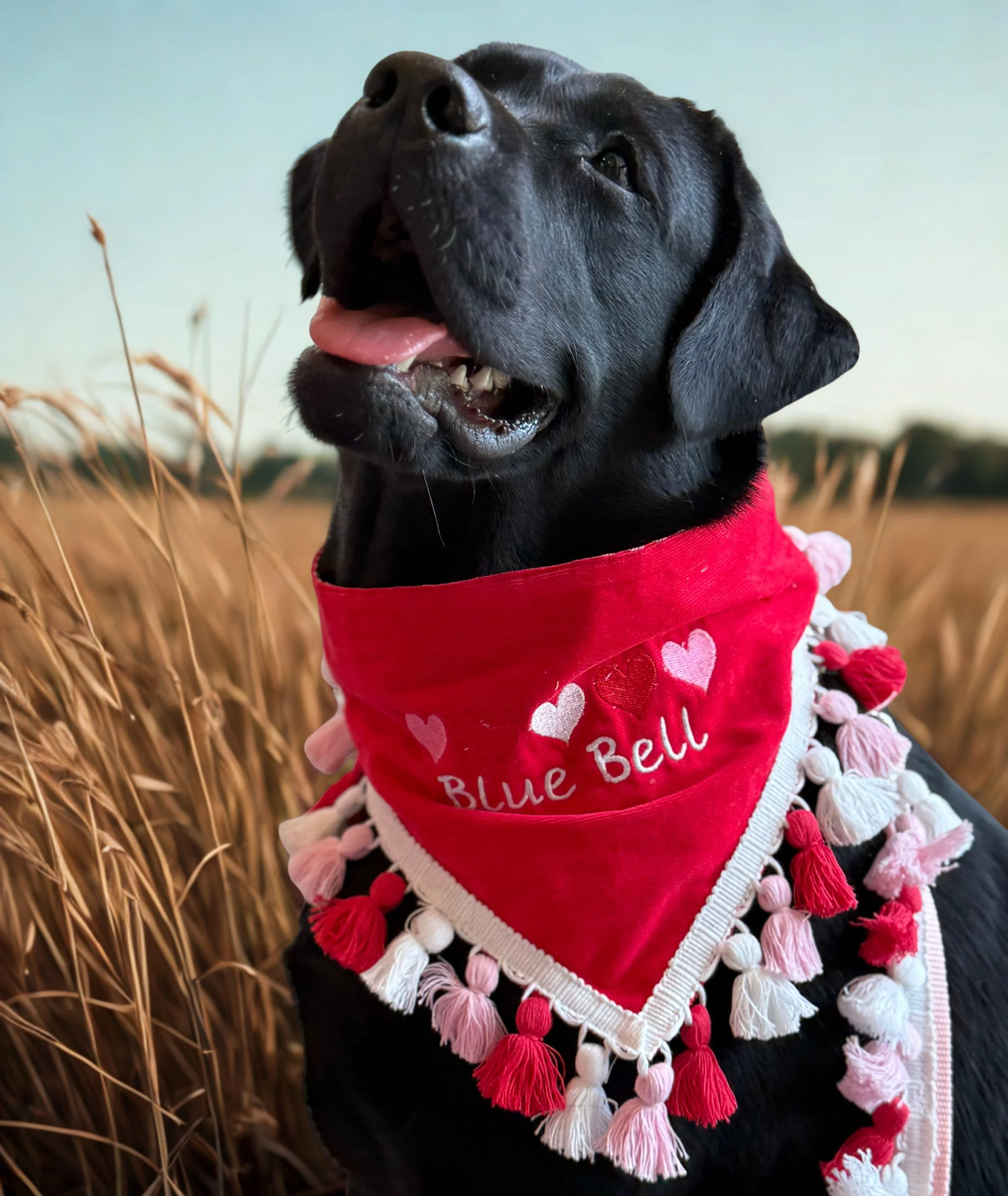 Red Hearts In a Row Bandana