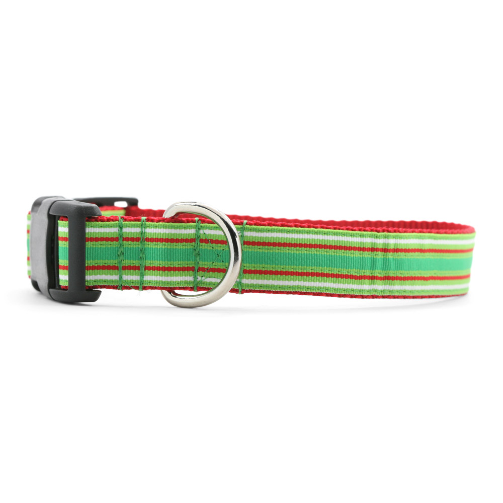 Holly Stripe