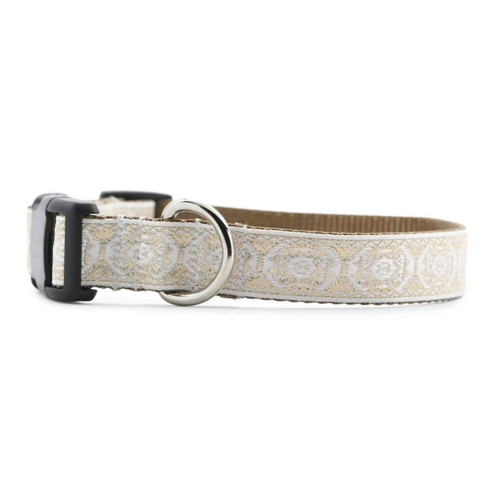 Holiday Brocade Dog Collar