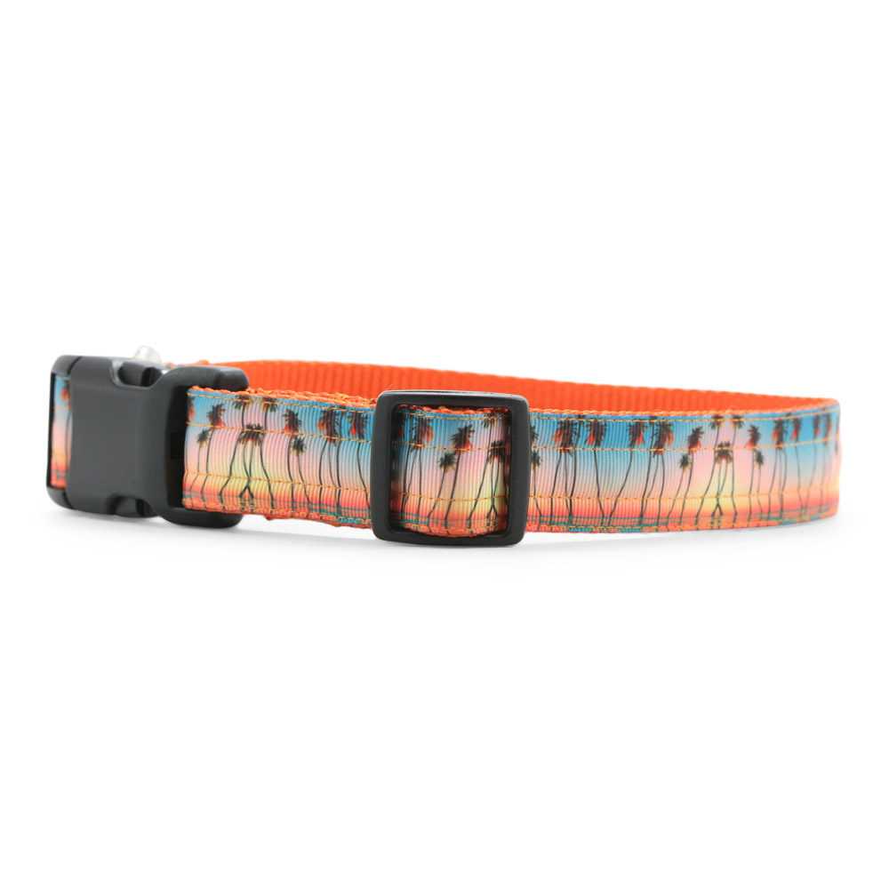 Palm Trees Sunset Dog Collar