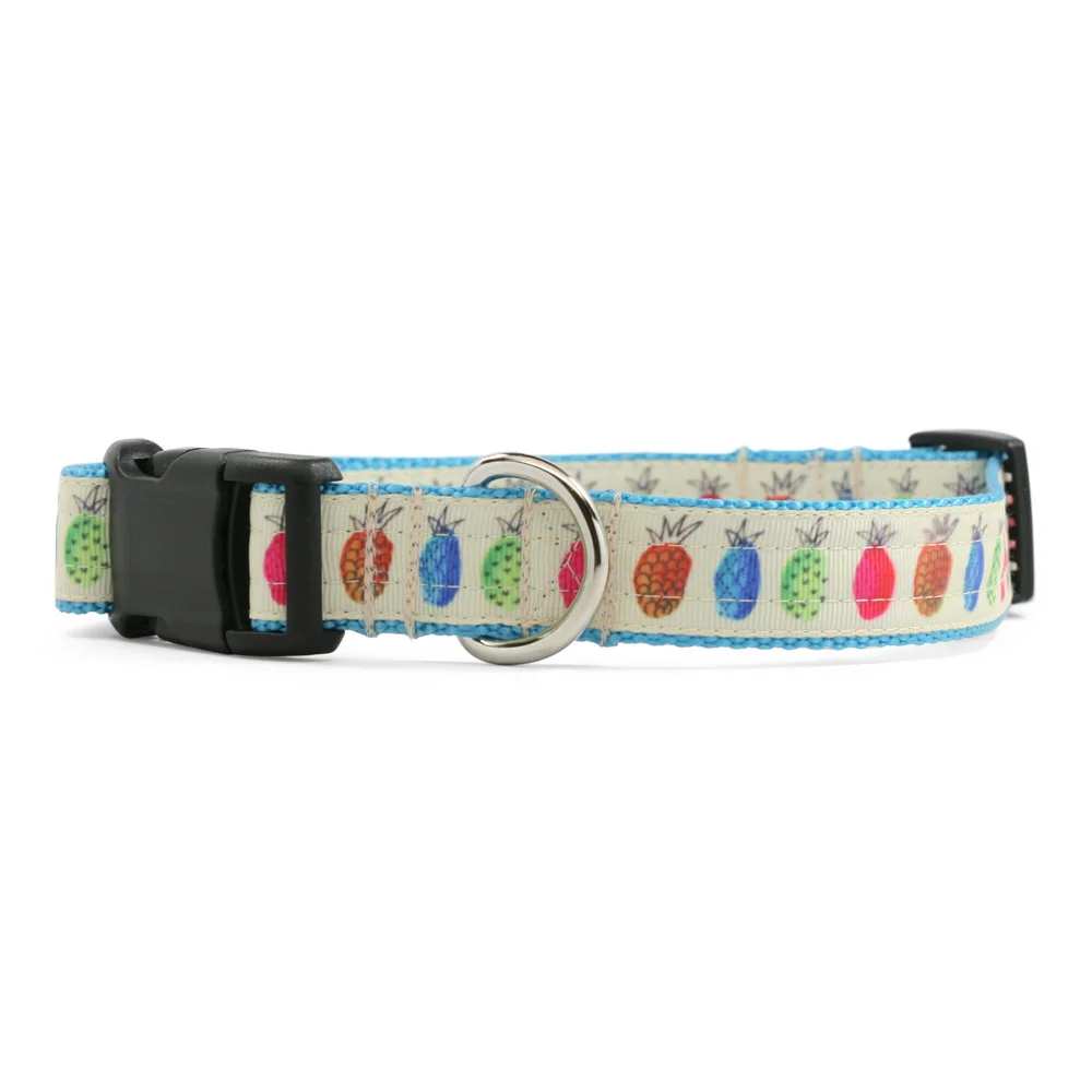 Pineapple Row Dog Collar