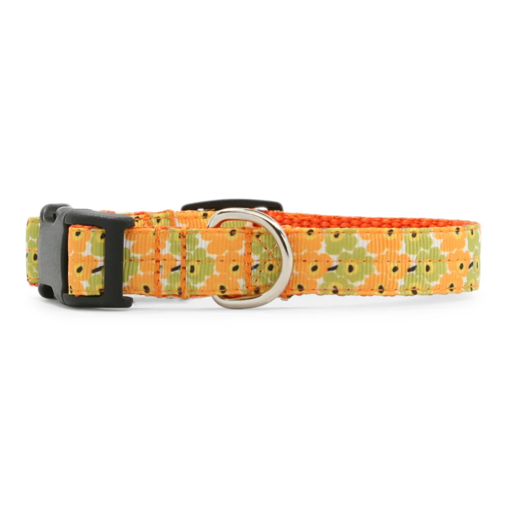 Yellow Poppy Dog Collar