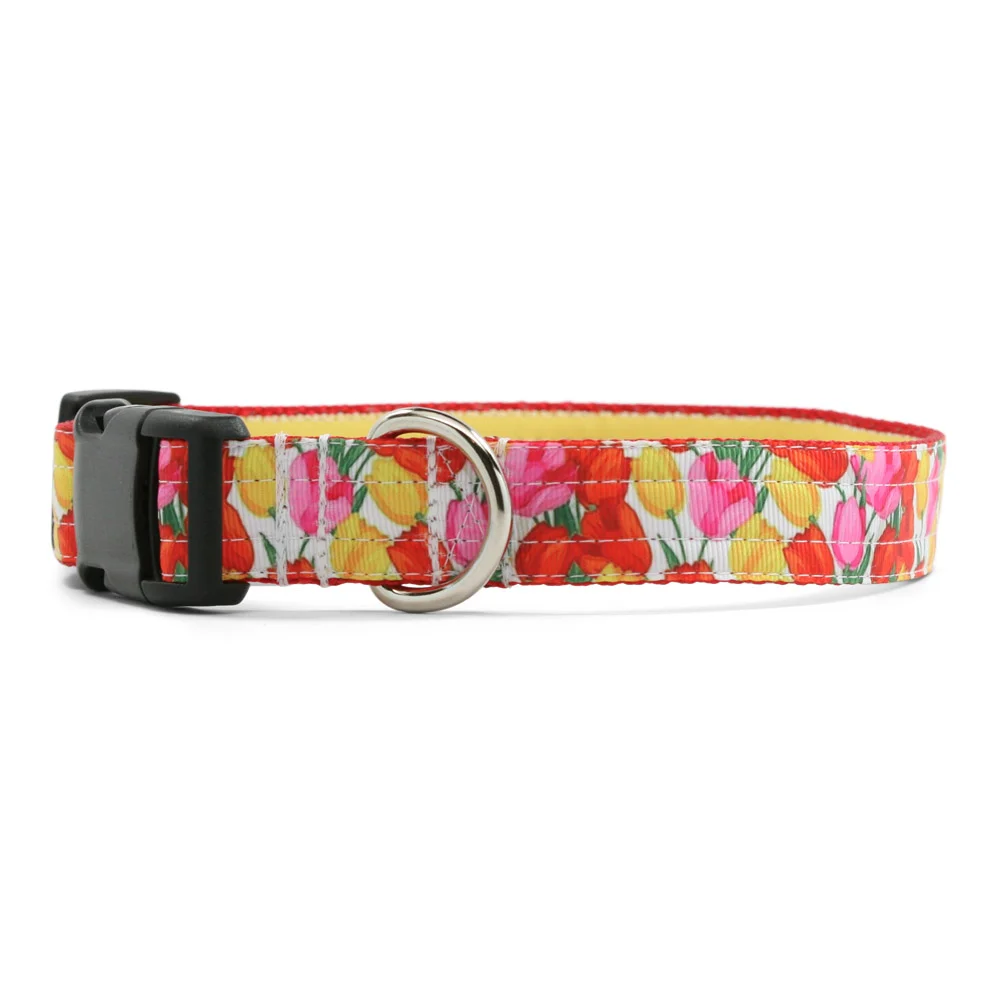 Tulip Bloom Dog Collar