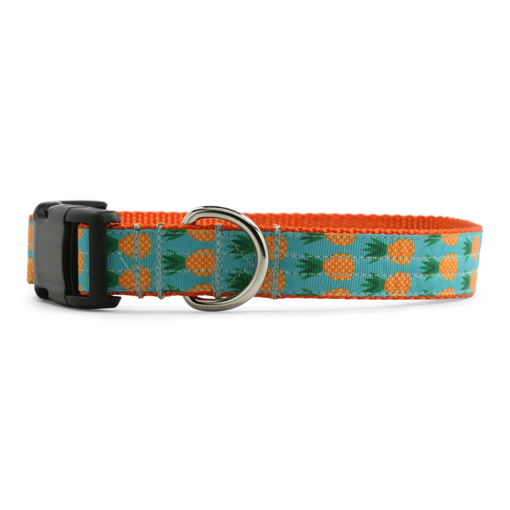 Turquoise Pineapple
