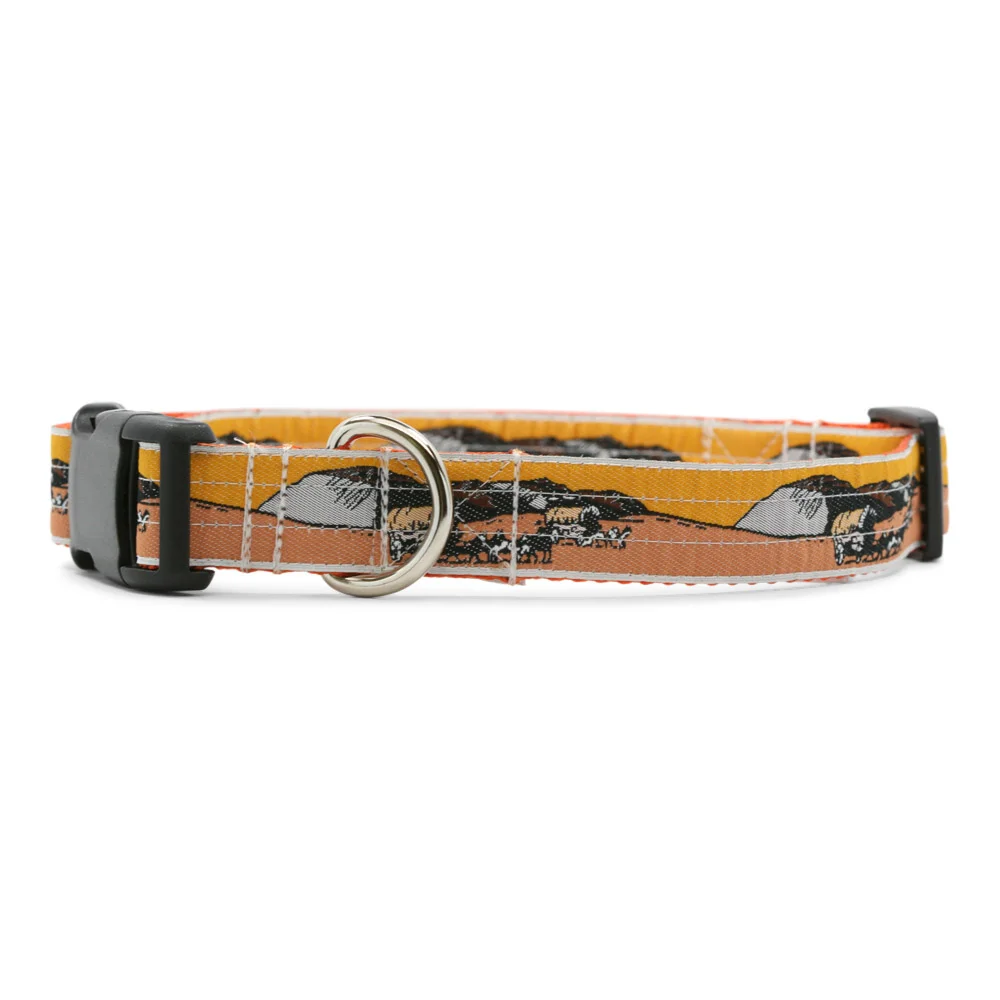  Wagon Train Collar and Leash