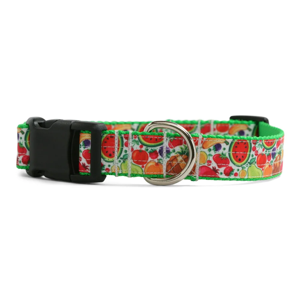 Fruit Surprise Dog Collar