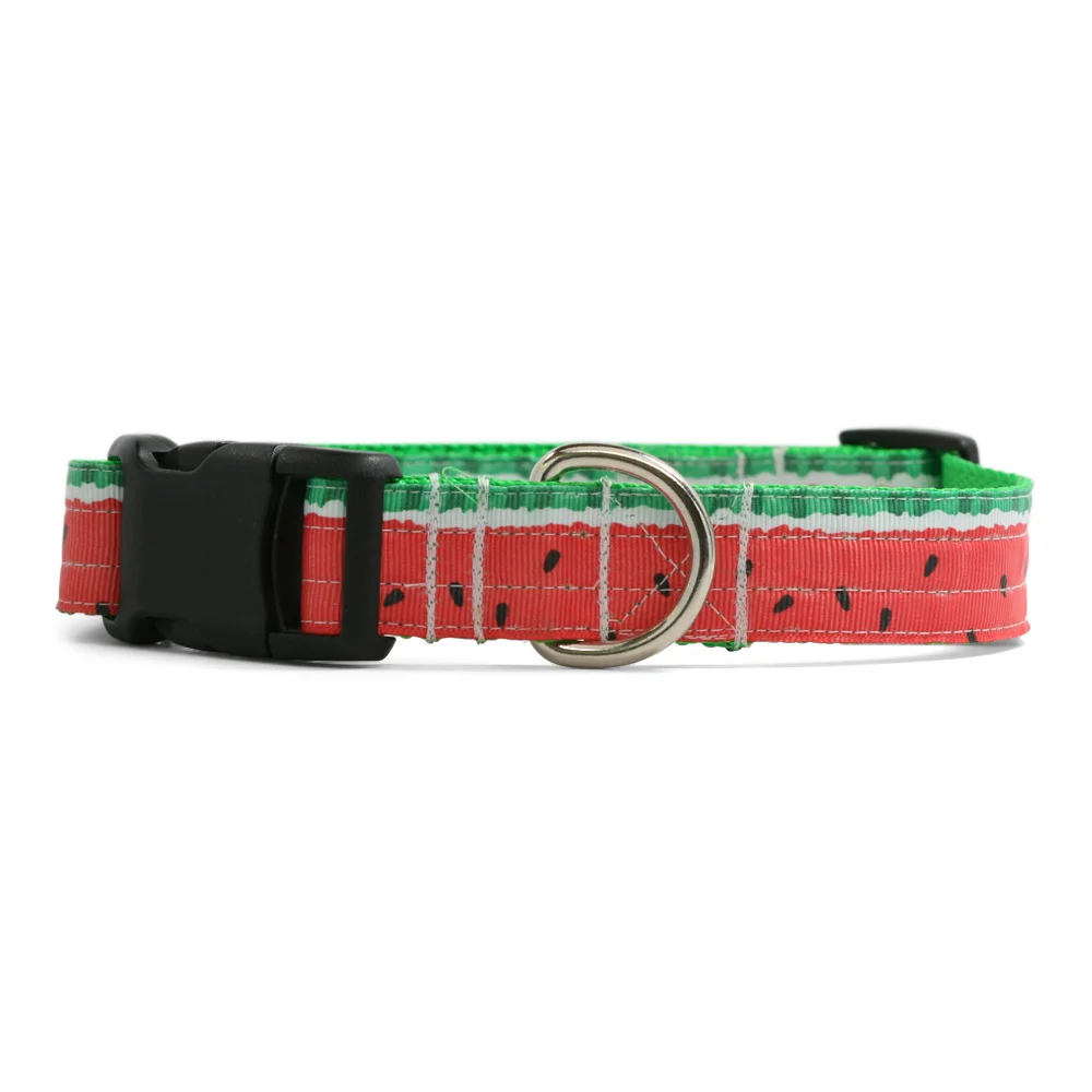 Watermelon Border Collar
