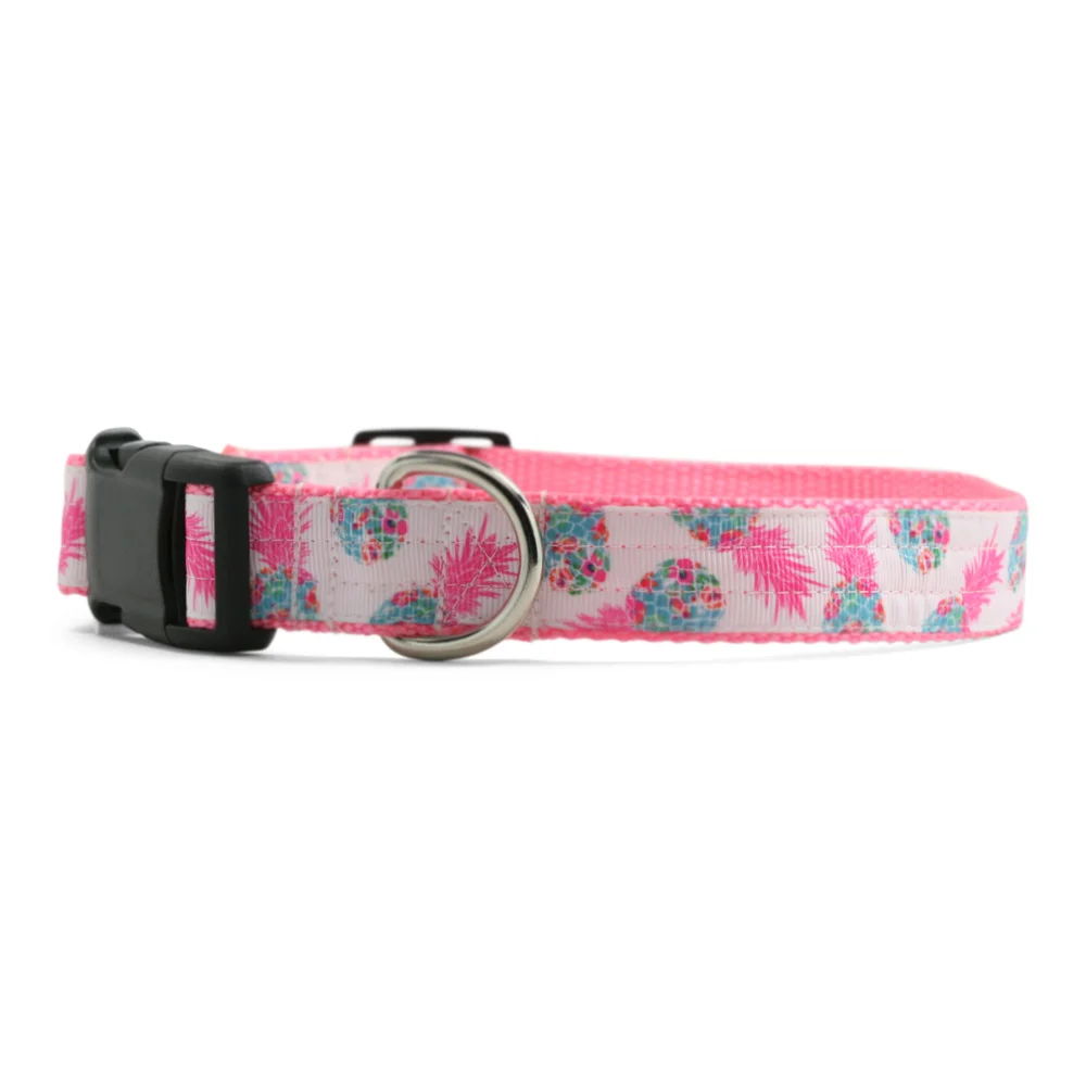 Pink Pineapples Dog Collar