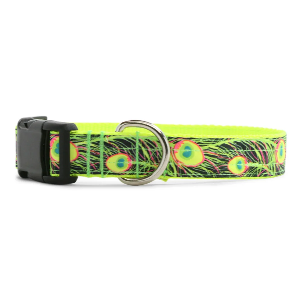 Save The Peacocks Dog Collar