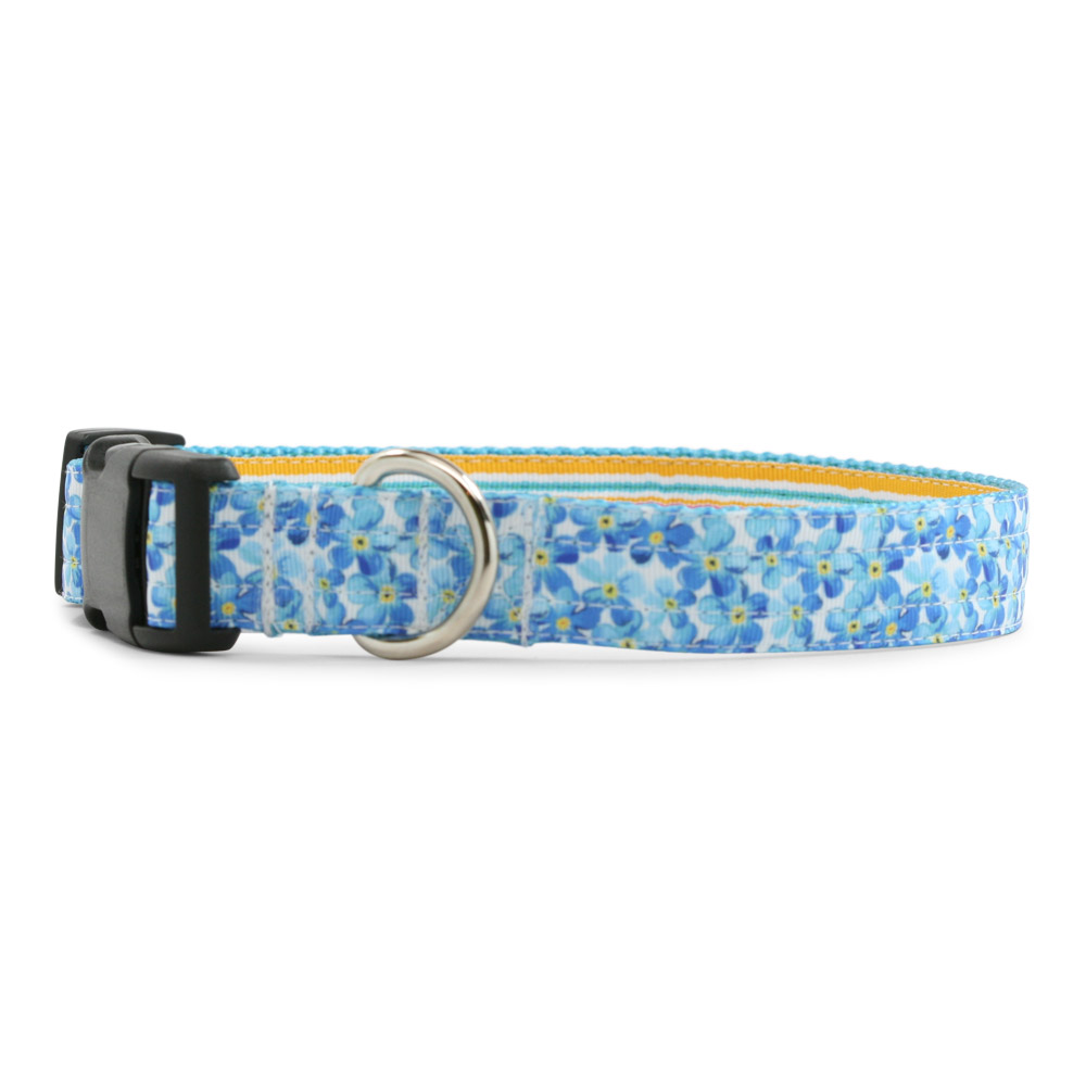 Daisy Mazee Collar