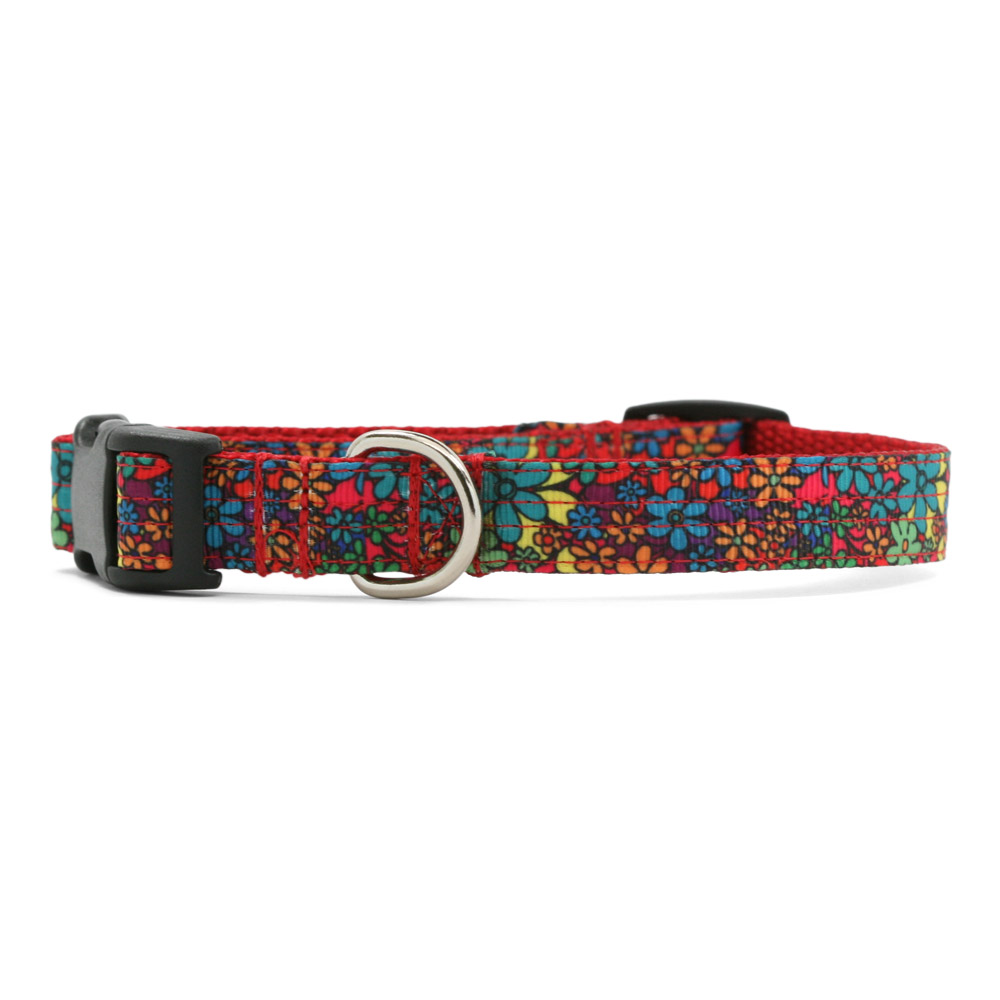 Mod Squad Dog Collar