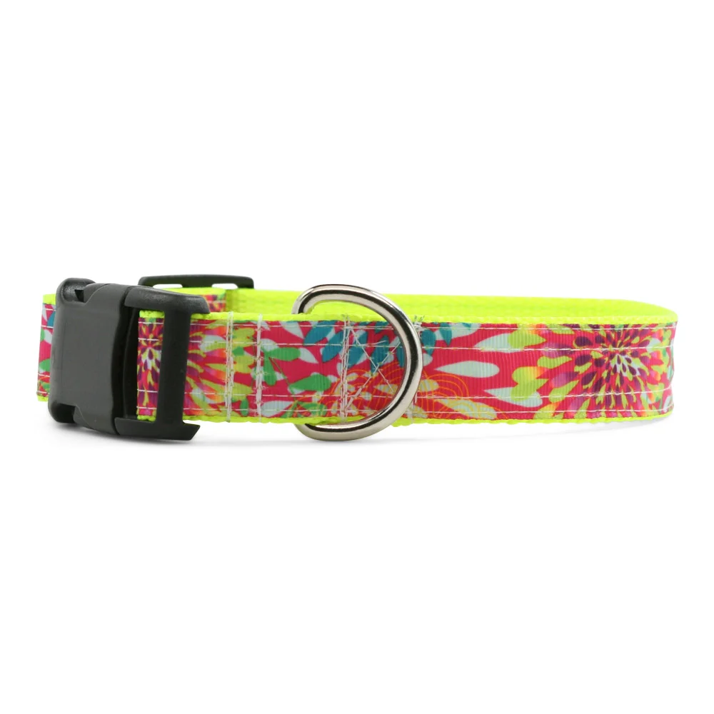Neon Star Bursts Dog Collar