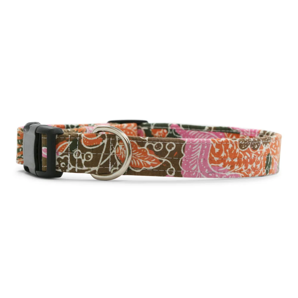 Java Dog Collar