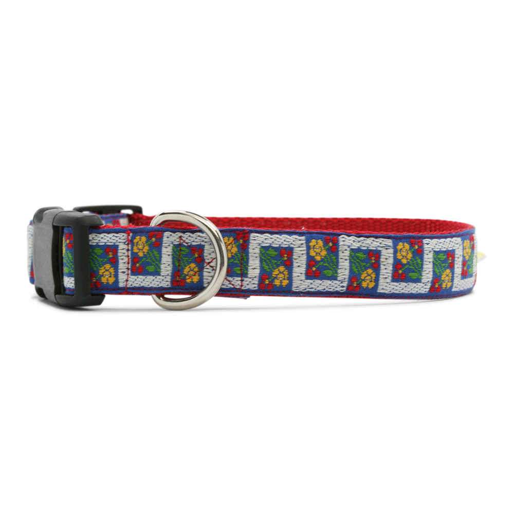 Lech Dog Collar