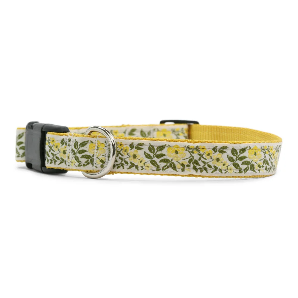 Yellow Rose of Texas Dog Collar